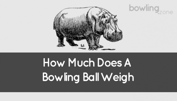 How Much Does A Bowling Ball Weigh (All You Need To Know)